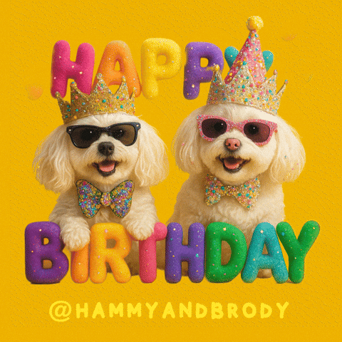 Celebrate Happy Birthday GIF by HammyandBrody