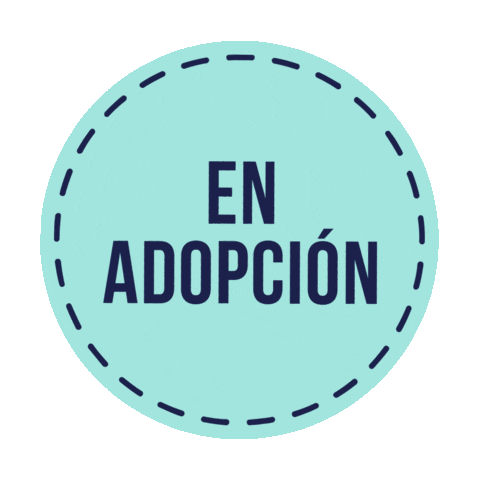 gatitosenaccion Sticker