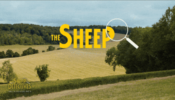 Lamb Shepherd GIF by The Sheep Detectives