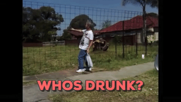 belfastbaps drunk funny GIF
