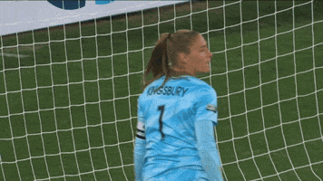 Come On Clap GIF by National Women's Soccer League