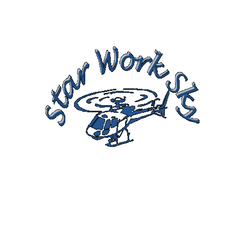 Starworksky Sticker