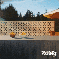 McCain-Official-grade-jury-bestjump-qFWyE8Z8gp23lyu9Fc