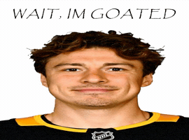 Ice Hockey GIF