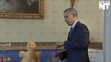 oh no lol GIF by NowThis 