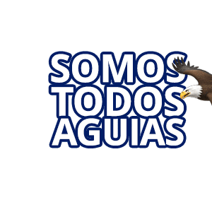 Grupoabs Sticker By Abs GIF