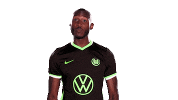 Social Media Sticker Sticker by VfL Wolfsburg