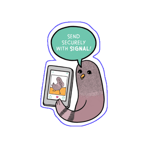 Digital Defense Fund Sticker