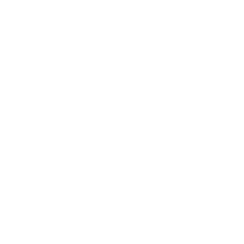 RXR PROTECT Sticker