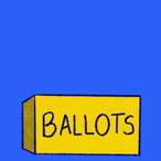 Voting Election 2020