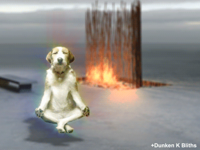 Ohm GIFs - Get the best GIF on GIPHY