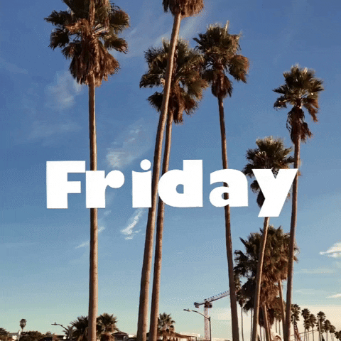 Palm Trees Friday GIF by Yevbel
