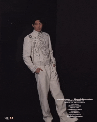 Wb Arkin GIF