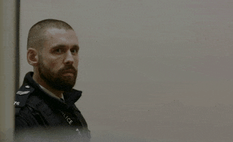 Police GIF