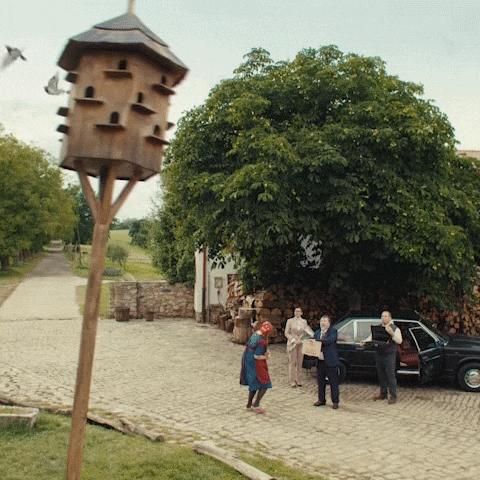 Holub GIF by Fio banka