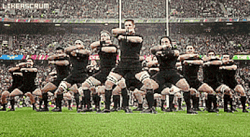 All Blacks GIFs - Find & Share on GIPHY