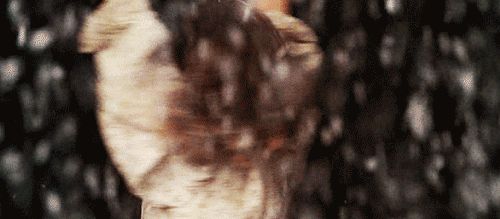a little princess dance GIF