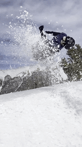 Ski Bowden GIF