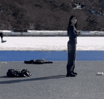 Throw Snowball GIF