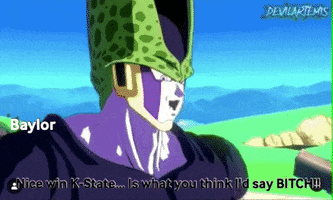 Baylor GIF