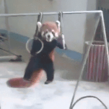 Pull Ups Exercise GIFs - Get the best GIF on GIPHY