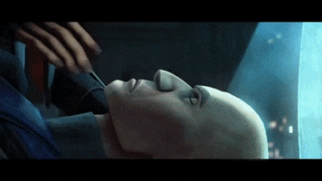 Rex GIF