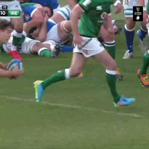Irish Rugby Celebration GIF by Guinness Six Nations