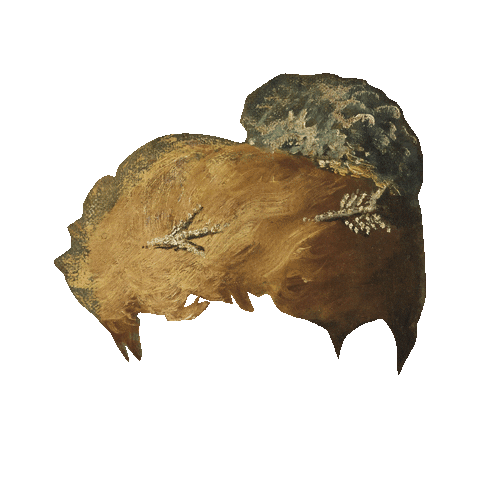 Expo Goya Sticker by PBA Lille