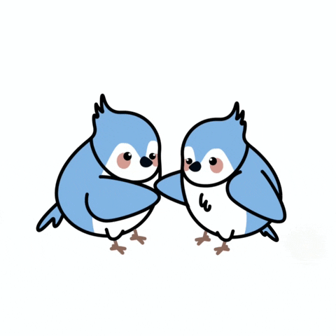 Blue Jay Friends GIF