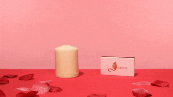 Valentines Day Love GIF by Mighty Oak