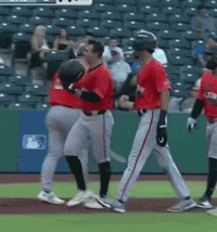 Home Run Celebration GIF by Sacramento River Cats
