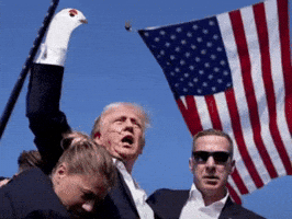 Trump GIF
