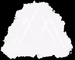 Above Media GIF