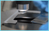 inspection-dyd-doyoudiscover-qSEjw2DL9FwsBJtF1n