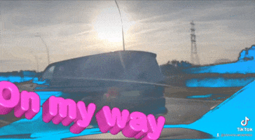 GIF by stevescarservice