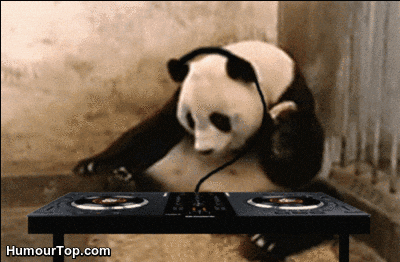 giphy.gif?cid=4bf119fc5ce42fd96c306f72455faba1&rid=giphy.gif