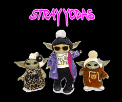 Star Wars Stray Kids GIF