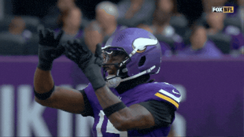 Celebration Nfl GIF by Minnesota Vikings