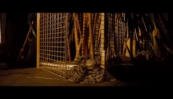 Mop GIF