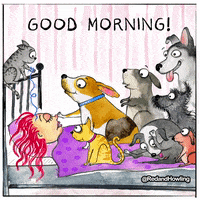Tired Good Morning GIF by Red and Howling