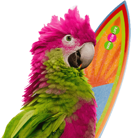 Happy Fun Sticker by Loterie Nationale Loterij