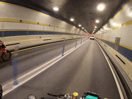 Racing Nyc GIF by Gotham Ducati Desmo Owners Club
