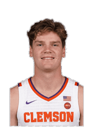 Clemson Tigers Touchdown Sticker