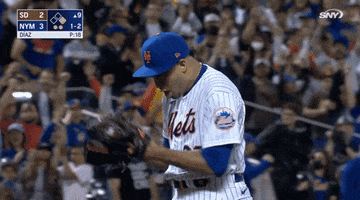 Excited New York Mets GIF by Jomboy Media