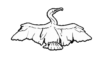 Gowanus Canal Bird Sticker by Gowanus Dredgers Canoe Club