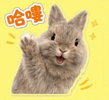 Vplab GIF by ltudcd