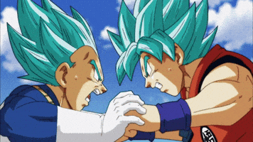 Dragon Ball Fighting GIF by Toei Animation