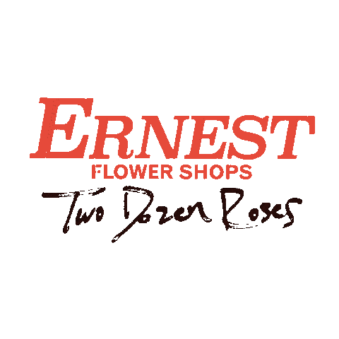 Valentines Day Flower Sticker by ERNEST