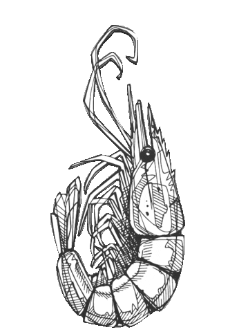 Crevette Records Sticker