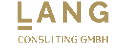 Agency Branding Sticker by Lang Consulting GmbH